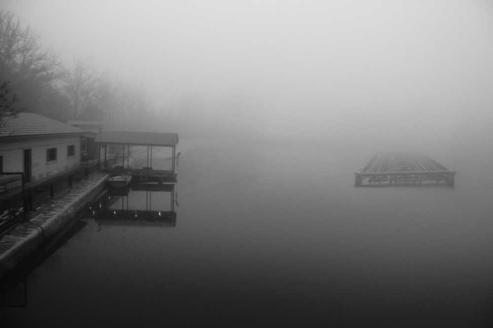 Foggy day von Hamed Khosroshahi