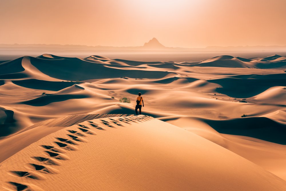 Alone In Desert von Hamed Qane