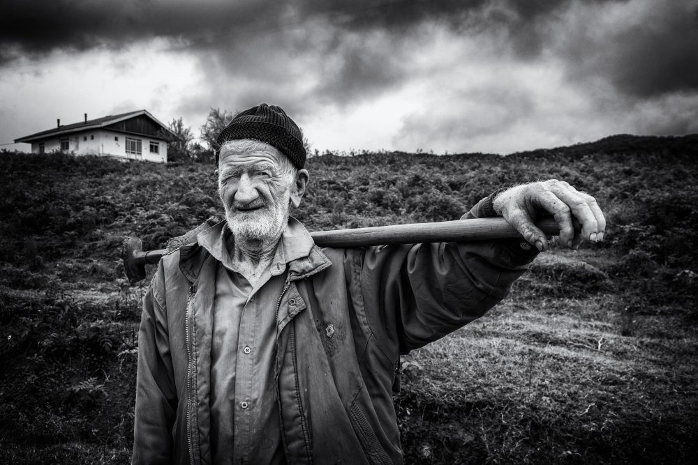 farmer von Hamid Jamshidian