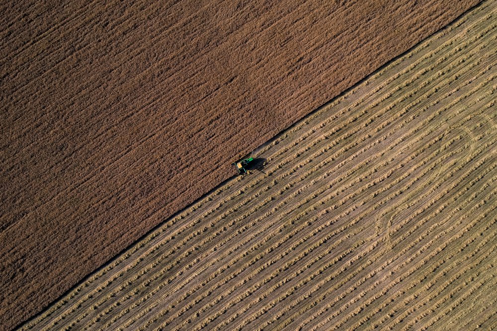 harvest von Hamid Jamshidian