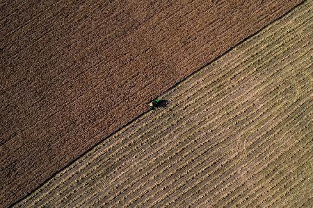 harvest