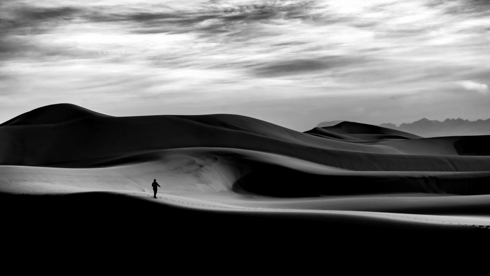 walk in the desert von Hamid Jamshidian