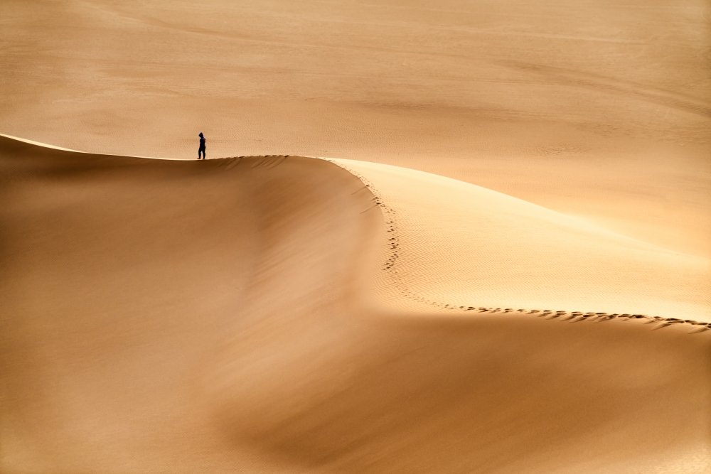 Man and the desert von Hamid Jamshidian