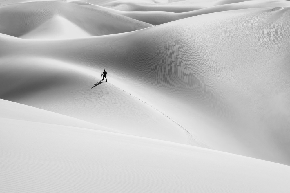 shadow of the desert von Hamid Jamshidian