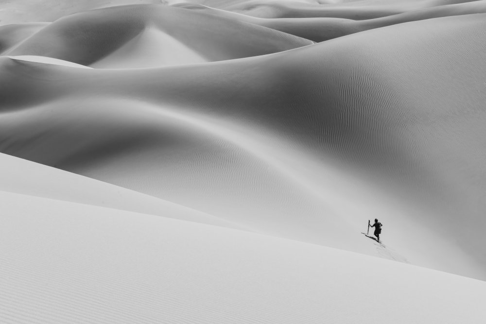 Shadow of the desert II von Hamid Jamshidian