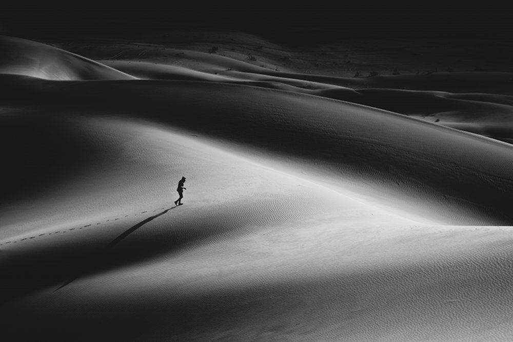 Walk in the desert II von Hamid Jamshidian