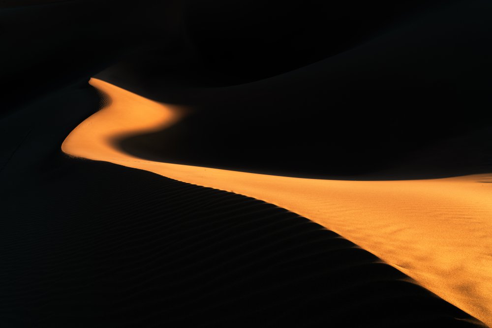 Dance Of The Light In The Desert von Hamid Jamshidian