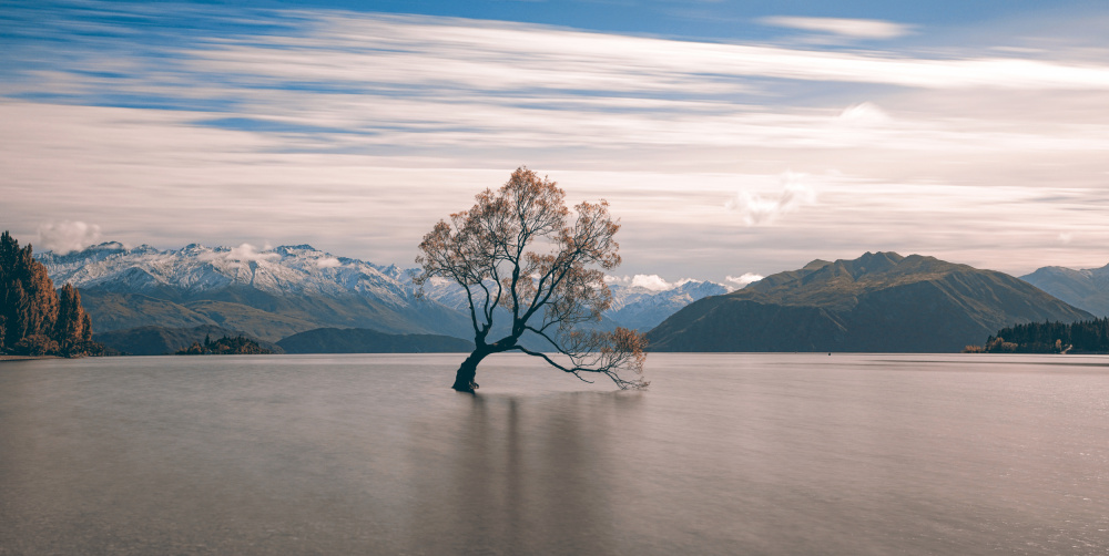 lonely tree von HAN XIAOBEI