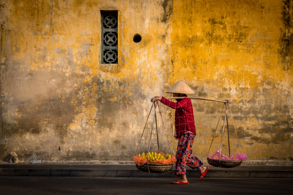 Carrying fruit von Hana Peskova