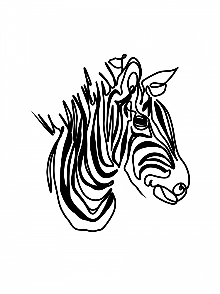 The Zebra von Hanna Lee Tidd