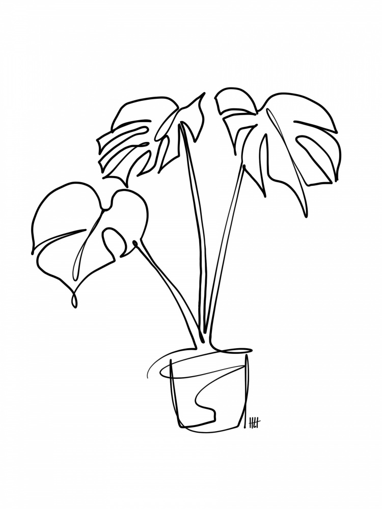 House Plant von Hanna Lee Tidd