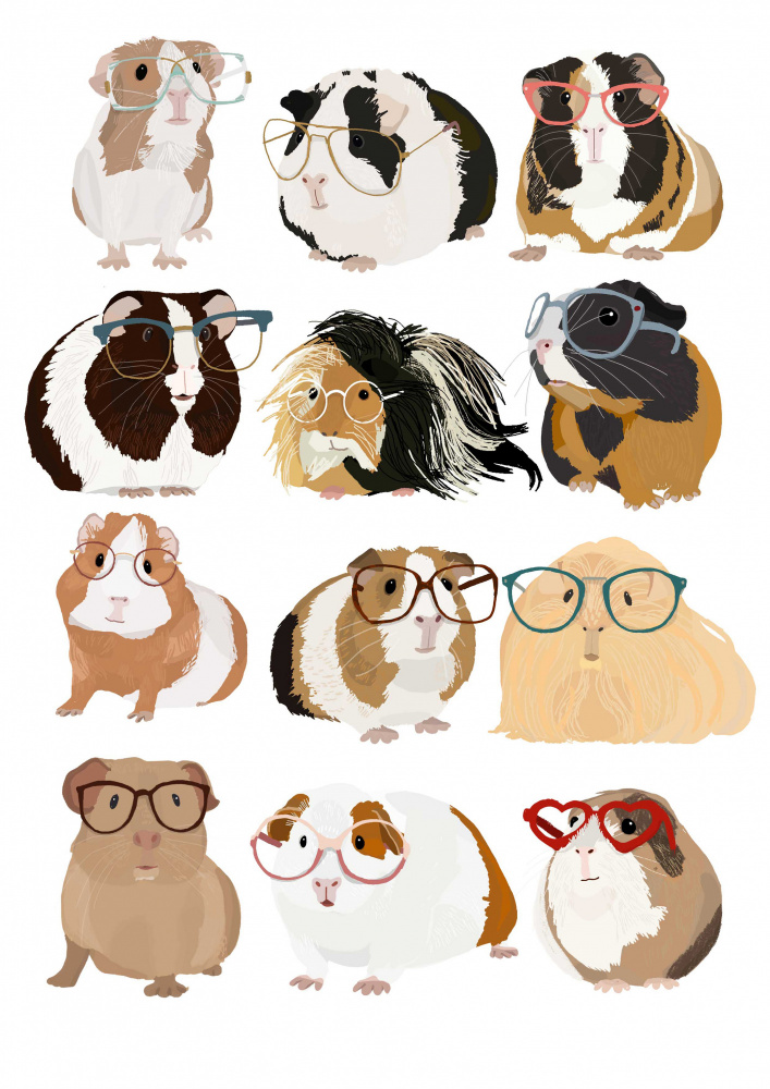 Guinea Pig in Glasses von Hanna Melin