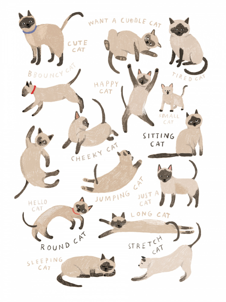 Siamese Cat Print von Hanna Melin