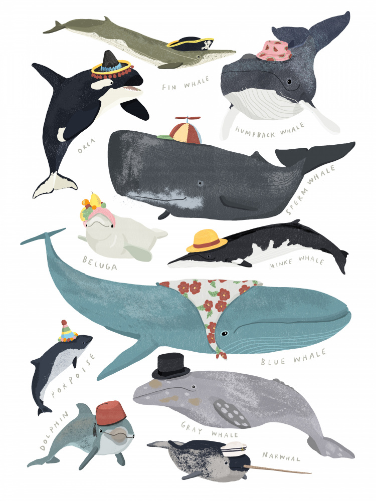 Whales In Hats von Hanna Melin