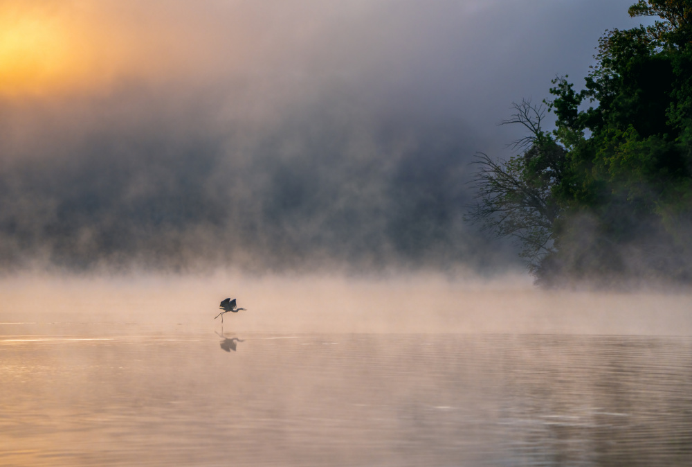 Misty lake von Hannah Zhang