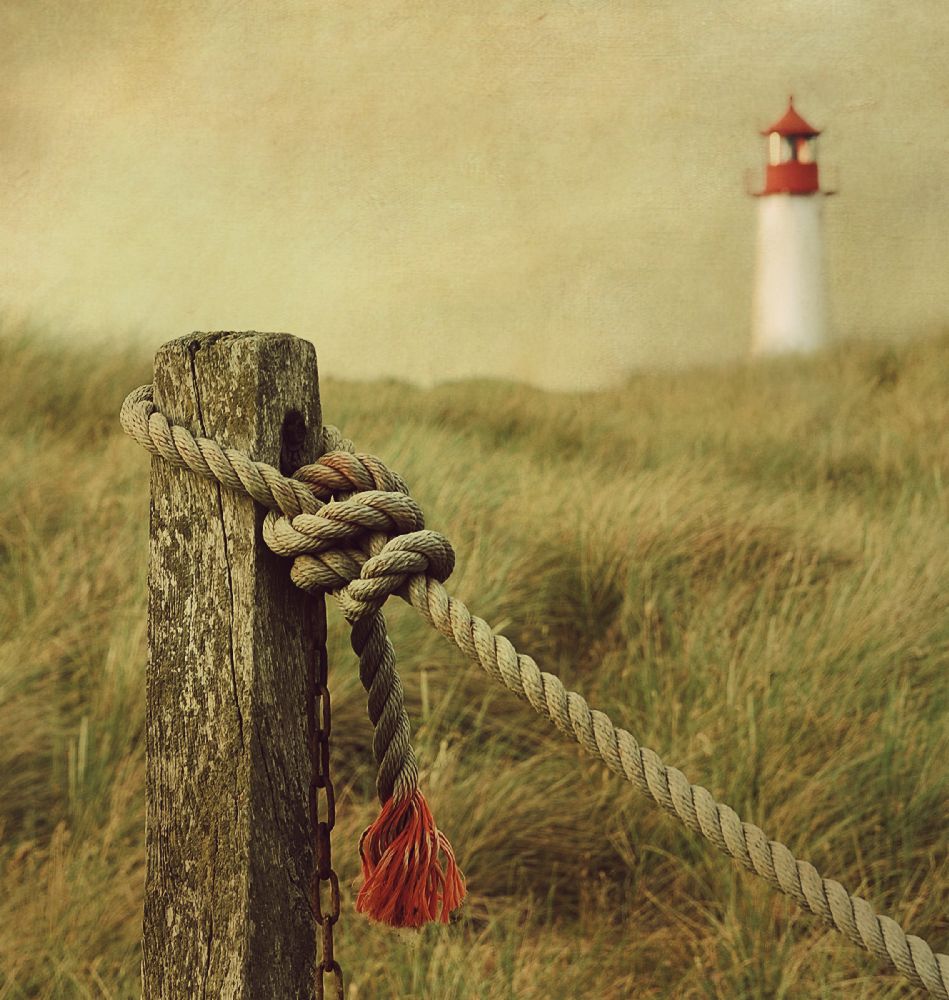 zum Leuchtturm von Hannes Cmarits