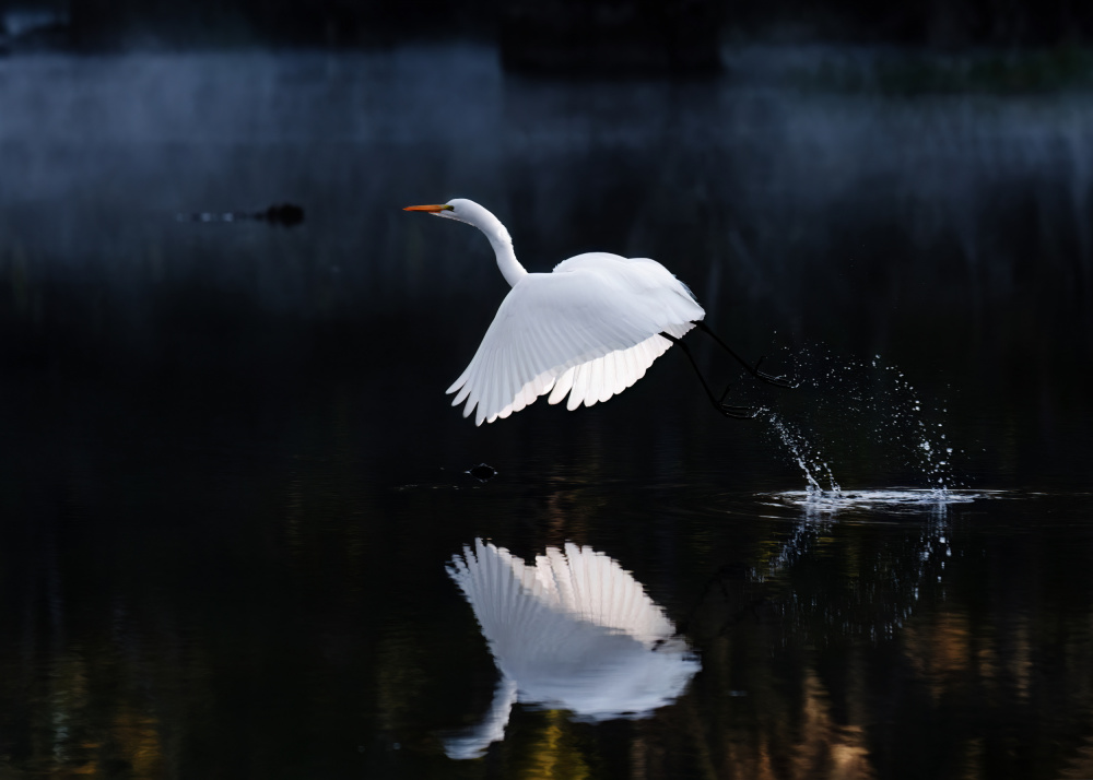 Reflection von Hanping Xiao