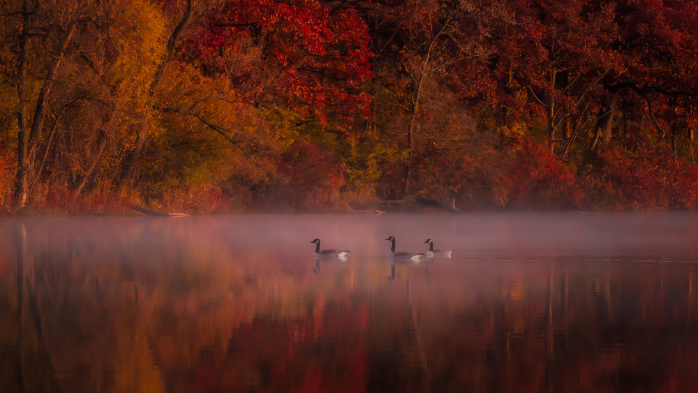 Autumn Impression von Hanping Xiao