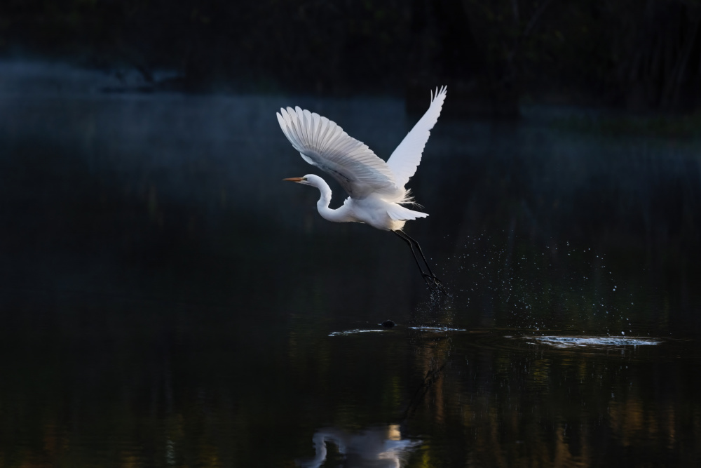 Tranquil von Hanping Xiao