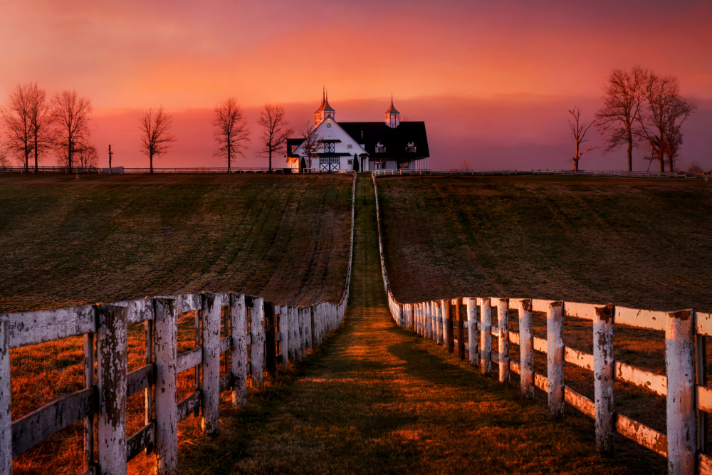 Dreamy Land von Hanping Xiao