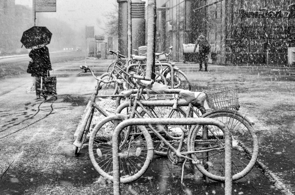 First snow von Hans Günther