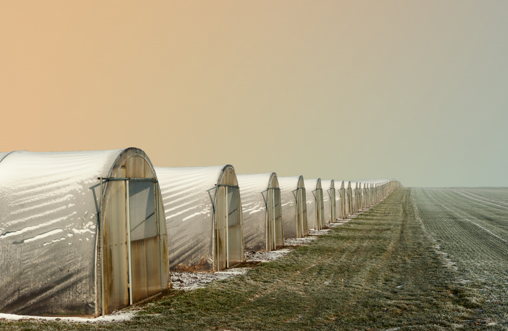 Greenhouses in winter von Hans Günther