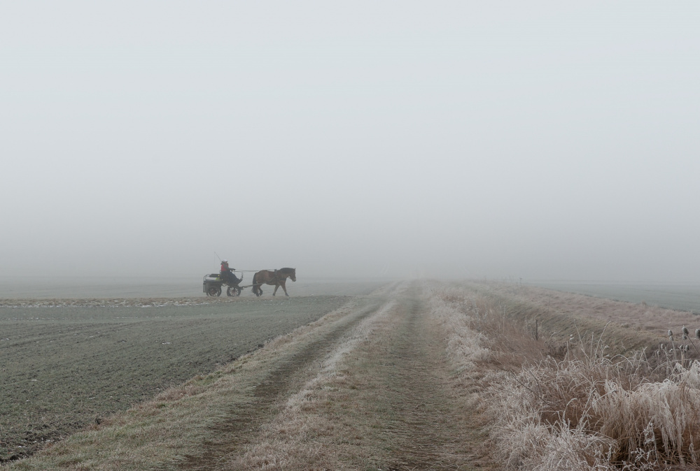 Carriage in the fog von Hans Günther