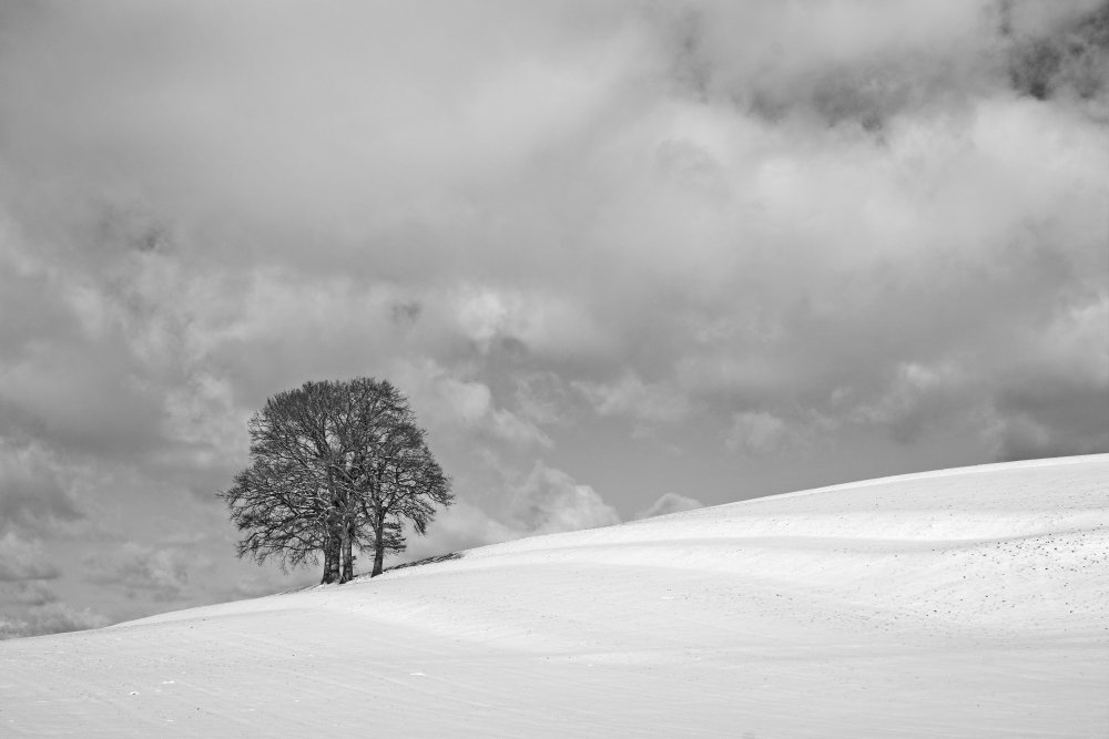 A cloudy winter day von Hans Peter Rank