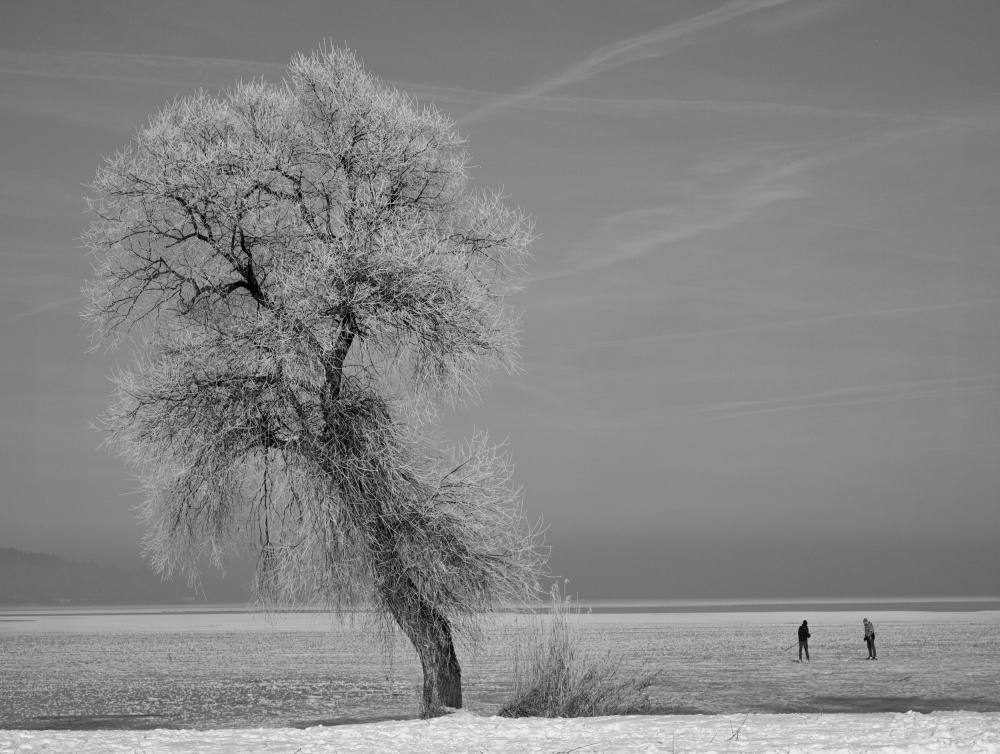 icy times von Hans Peter Rank