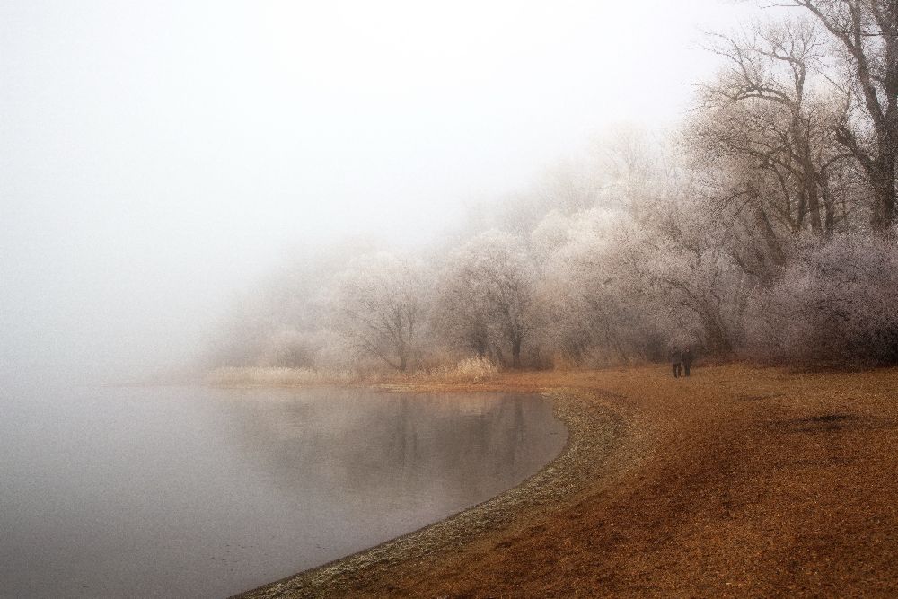 Nebel und Raureif auf dem See von Hans Peter Rank