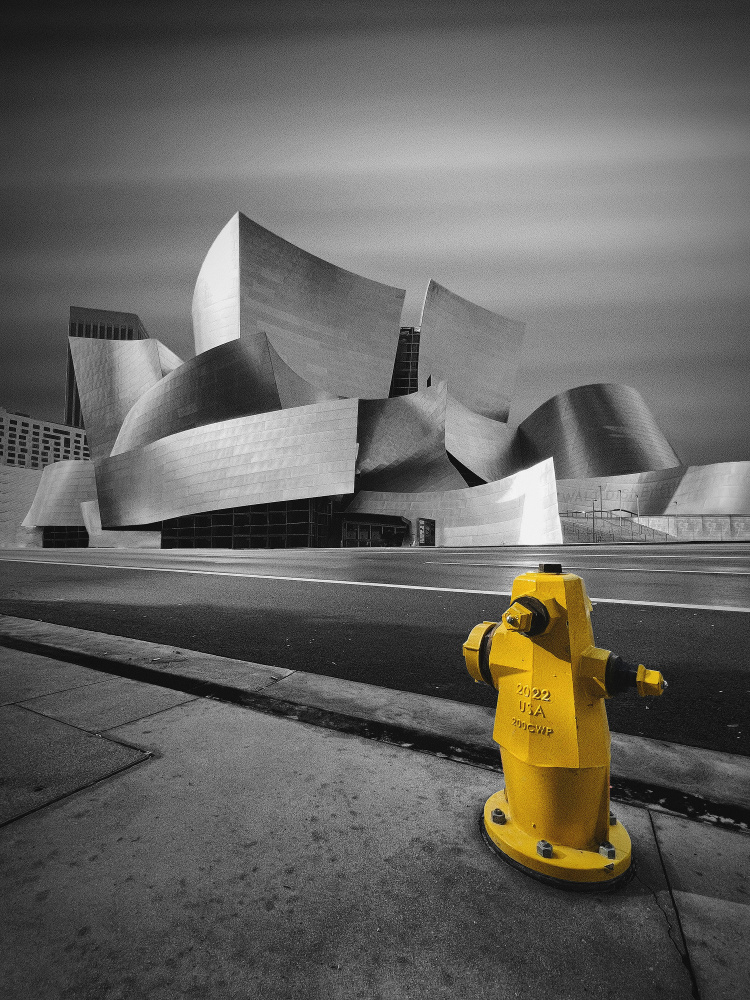 Walt Disney Concert Hall von Hardibudi