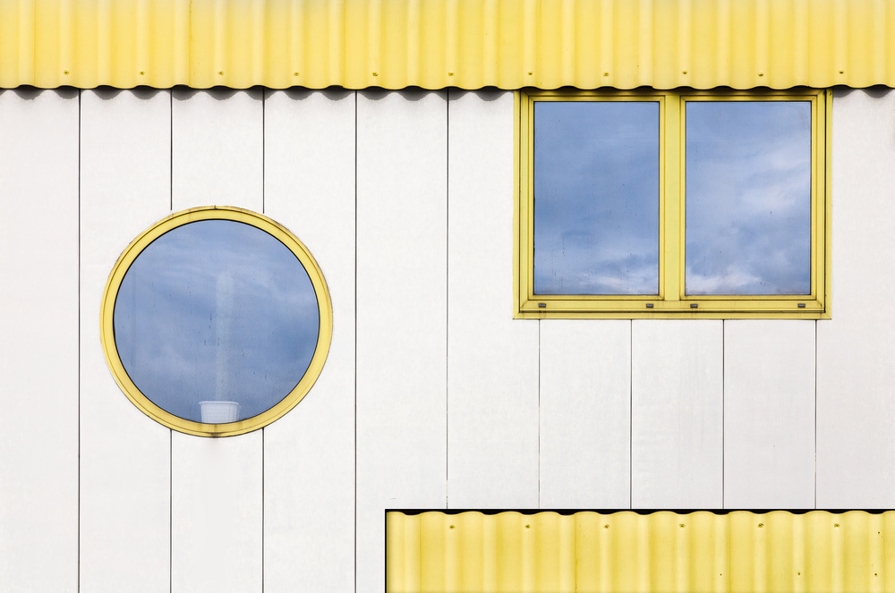 Cactus in the window. von Harry Verschelden