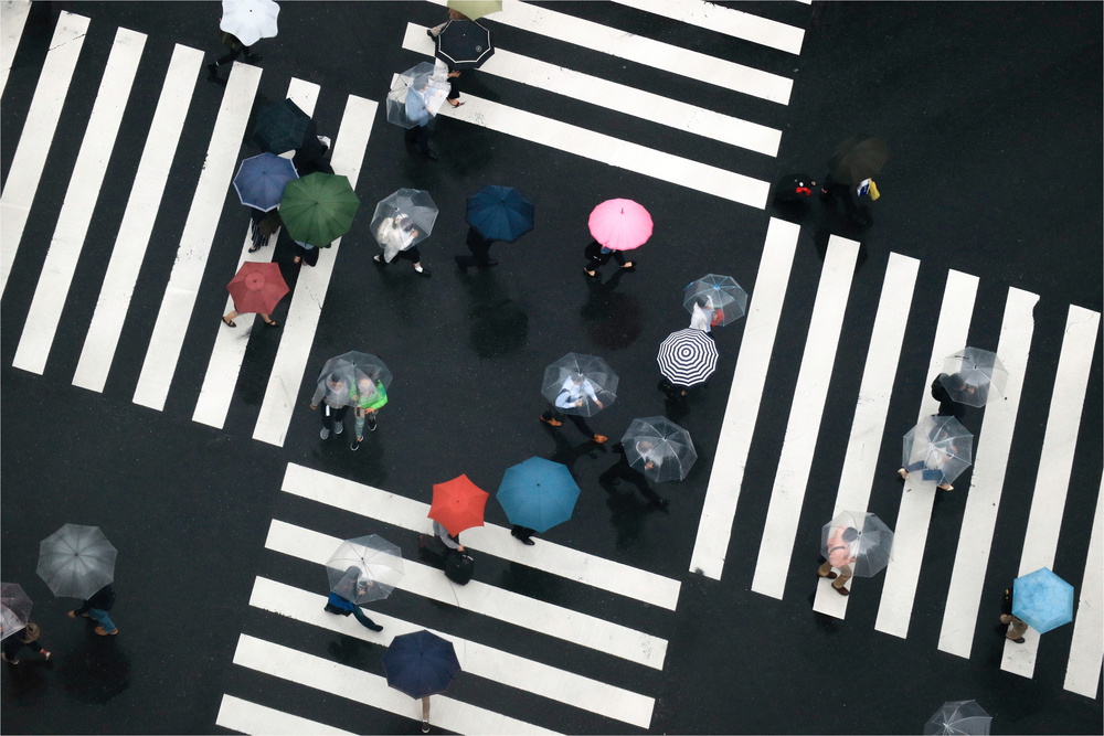 Flowers of the crossroads von Haruyo Sakamoto