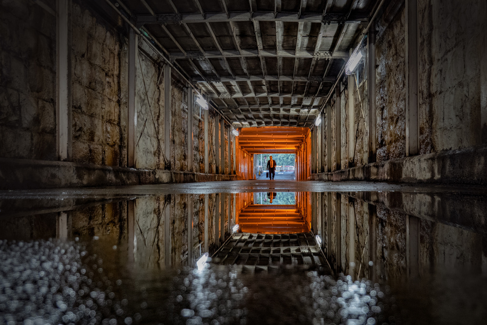 After the rain von Haruyo Sakamoto