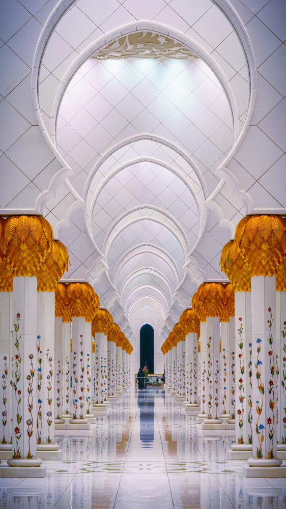 Abu Dhabi / Sheikh Zayed Mosque 3 von Hasan Dimdik