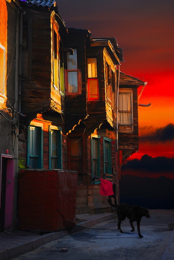 Home  In The Last  Lights von Hasan Sonmez