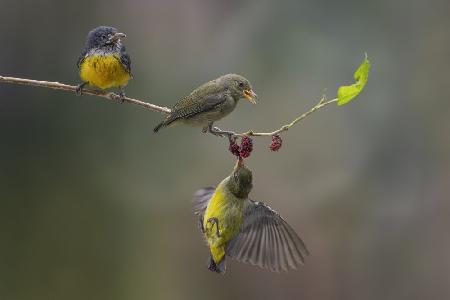 breakfast together