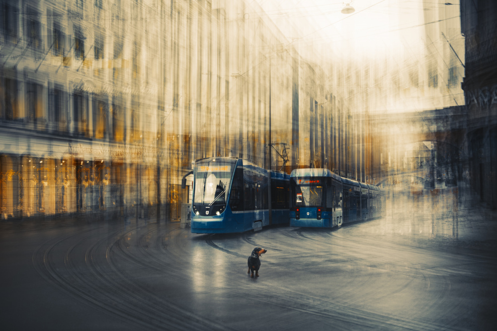 Little Explorer von Heike Willers