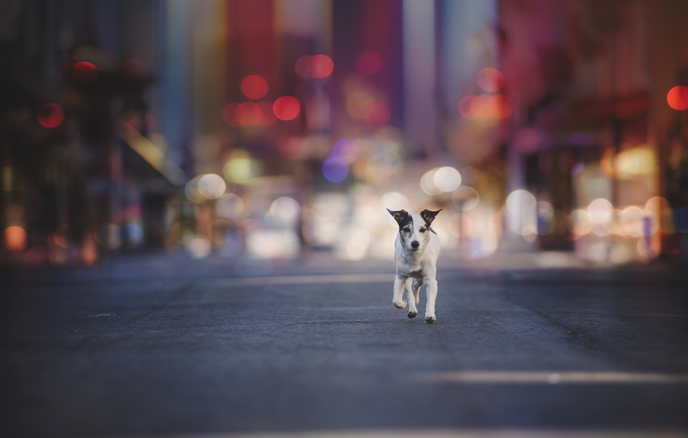 Leaving Las Vegas... von Heike Willers