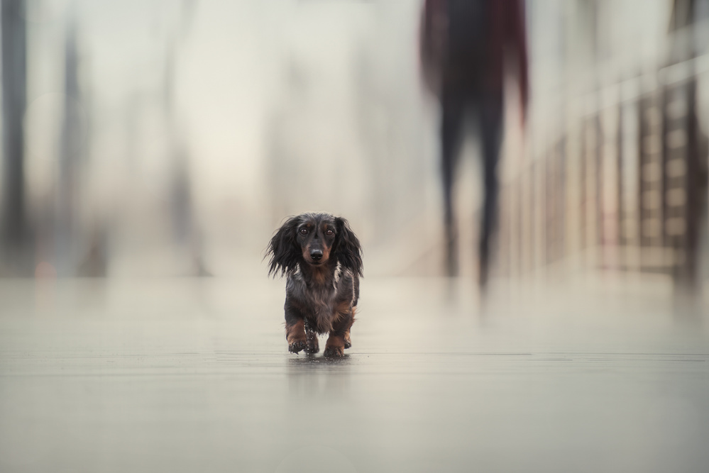 Going Home.... von Heike Willers