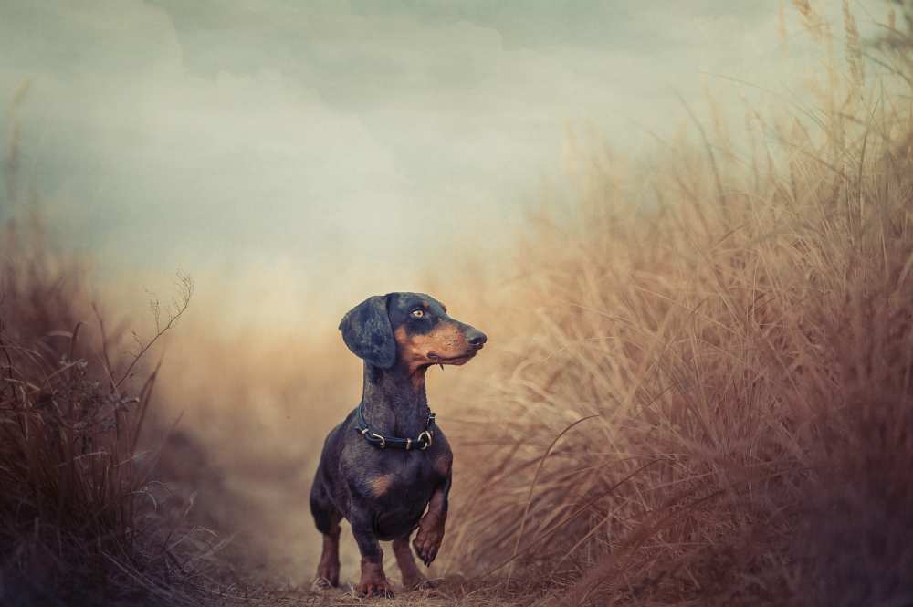 Nature is calling and I must go.. von Heike Willers