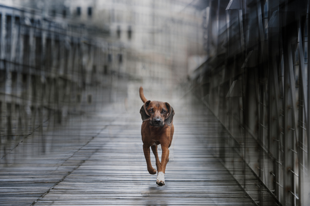 Tidy Untidiness von Heike Willers