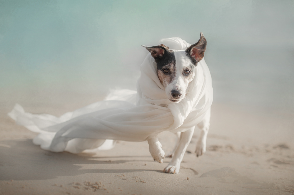 Out of the Storm von Heike Willers