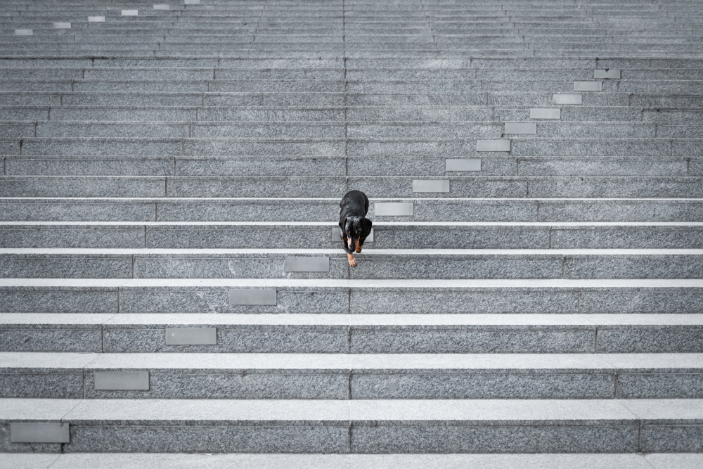 URBAN WALK von Heike Willers