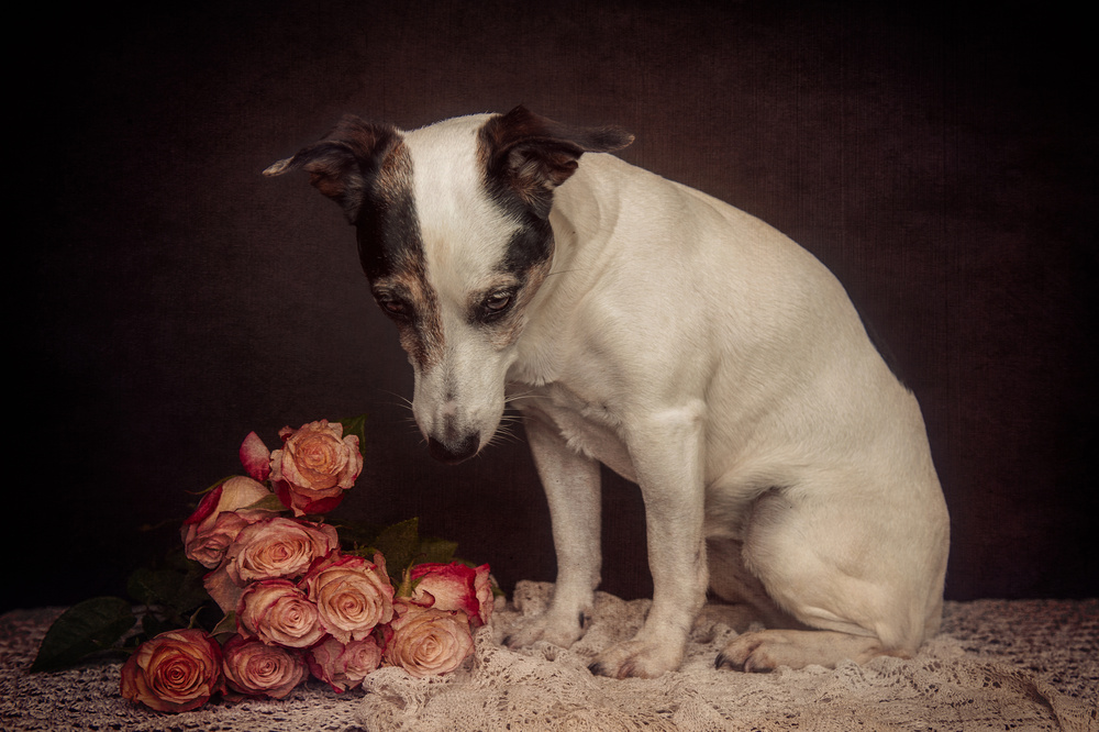 As time goes by... von Heike Willers