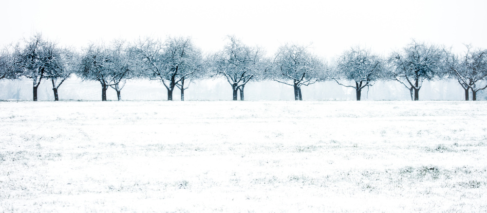 snow row von Heinz Hieke