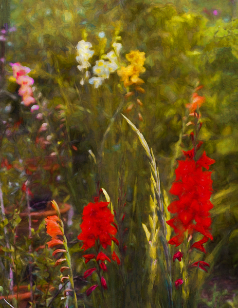 Beside the Potting Shed von Helen White