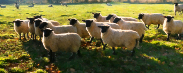 Flock Watching von Helen White