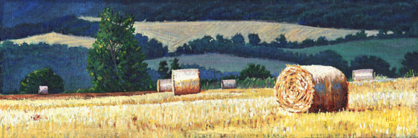 Haybales on hillside von Helen White