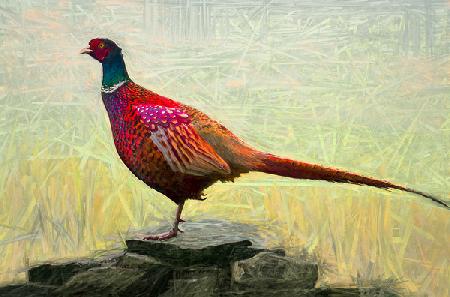 Pleasant Pheasant